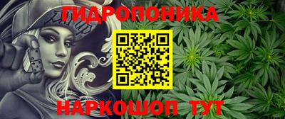 spice Краснокаменск