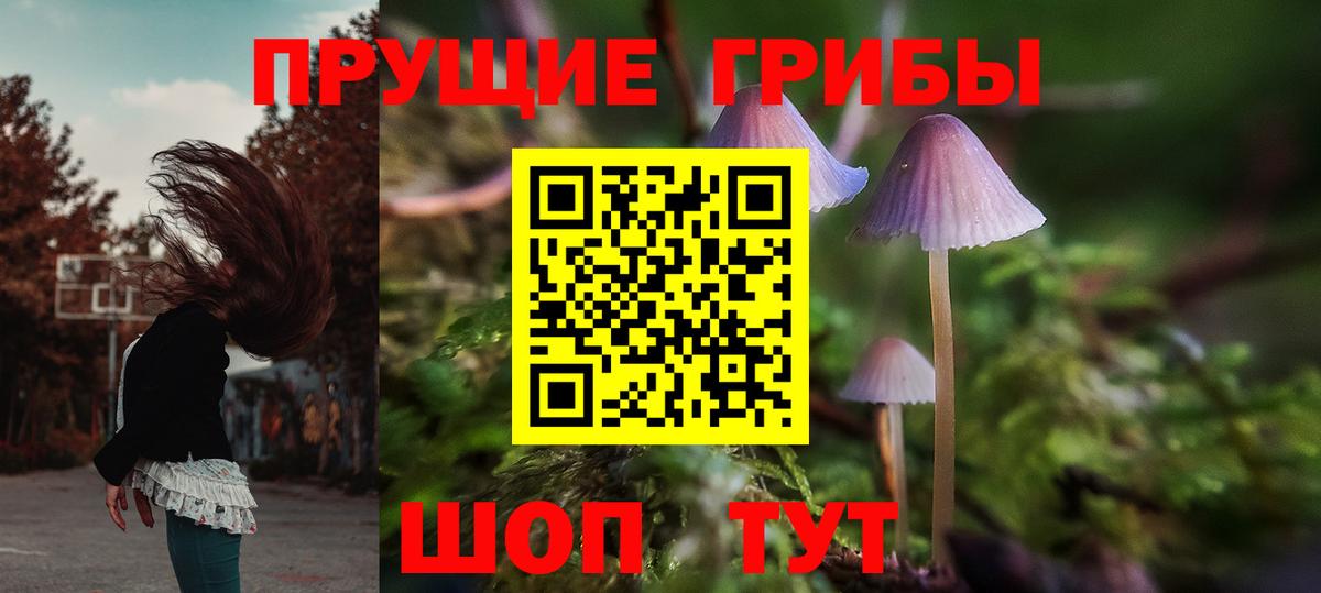 Галлюциногенные грибы Cubensis Донской